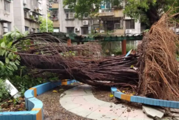 台风预警信号有几种 台风预警信号的介绍(台风预警信号有多少个等级?)-第3张图片-波音达百科
