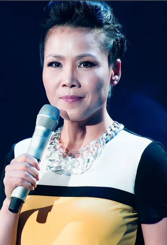 铿锵玫瑰是励志歌曲吗?田震唱的田震有什么歌曲?-第6张图片-波音达百科