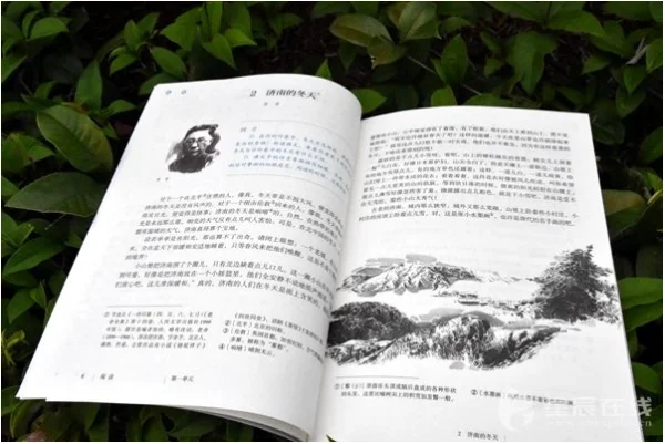 语文书上最诡异的地方(语文书上的恐怖图鬼故事 语文书上有鬼的地方有哪些)-第7张图片-波音达百科