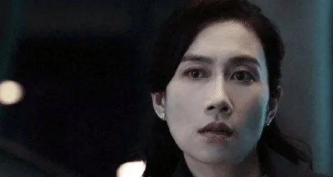 俞飞鸿都演过什么电视剧(俞飞鸿演的电视剧 俞飞鸿演过什么电视剧)-第5张图片-波音达百科