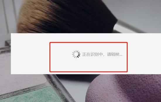 百度识图网页版为什么用不了?手机网页版百度识图为什么不能用-第4张图片-波音达百科