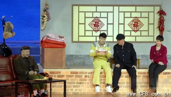 谁有2010天津春晚节目单(2010春晚节目单是真的吗)-第1张图片-波音达百科