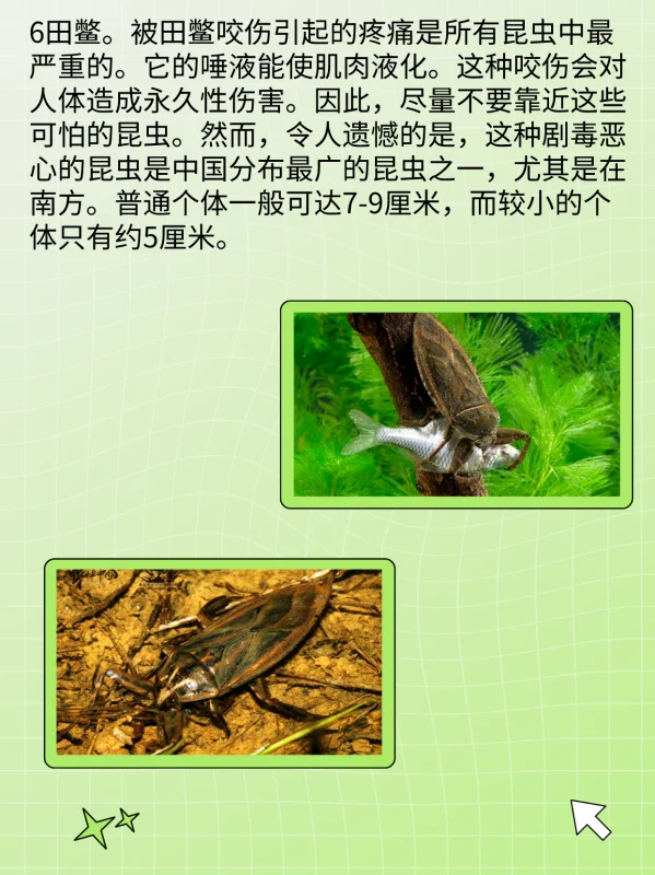 世界禁用的十大子弹(世界十大禁用枪支有什么?)-第8张图片-波音达百科