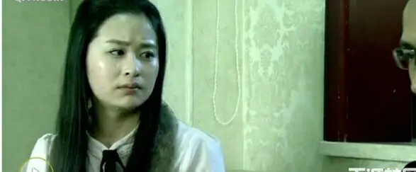 电视剧《千山暮雪》的内容是?如何评价电视剧千山暮雪?-第3张图片-波音达百科