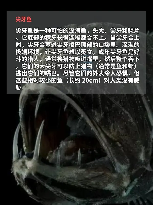 世界上鸟之最都有哪些(世界上最吓人的鸟是什么鸟呢?)-第6张图片-波音达百科