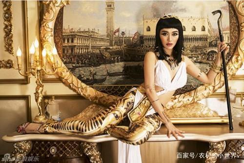 埃及艳后好看么?埃及艳后的发型好看吗?-第1张图片-波音达百科