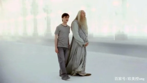 哈利波特与死亡圣器游戏问题(哈利波特与死亡圣器下游戏为何下载后无法玩)-第12张图片-波音达百科