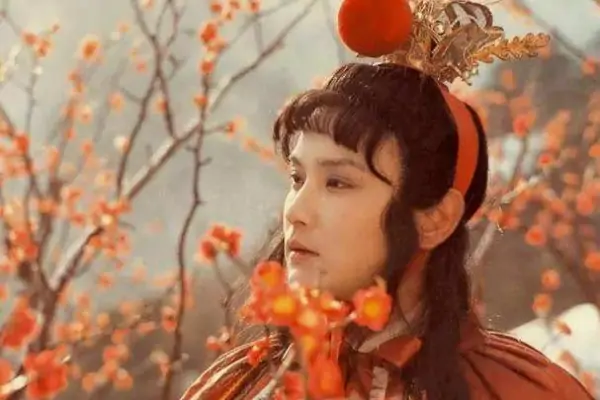 红楼梦里最诡异的人物(红楼梦里最恐怖的人)-第3张图片-波音达手游百科