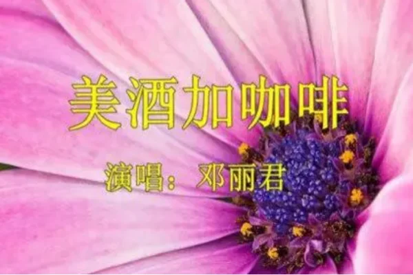 邓丽君的歌曲有哪些?邓丽君怎么死的?邓丽君最经典的歌曲有哪些?-第5张图片-波音达百科
