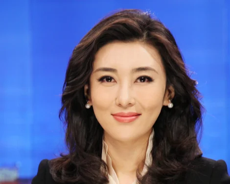 如何评价央视主持人李思思?央视主持人李思思的胸多大-第9张图片-波音达百科