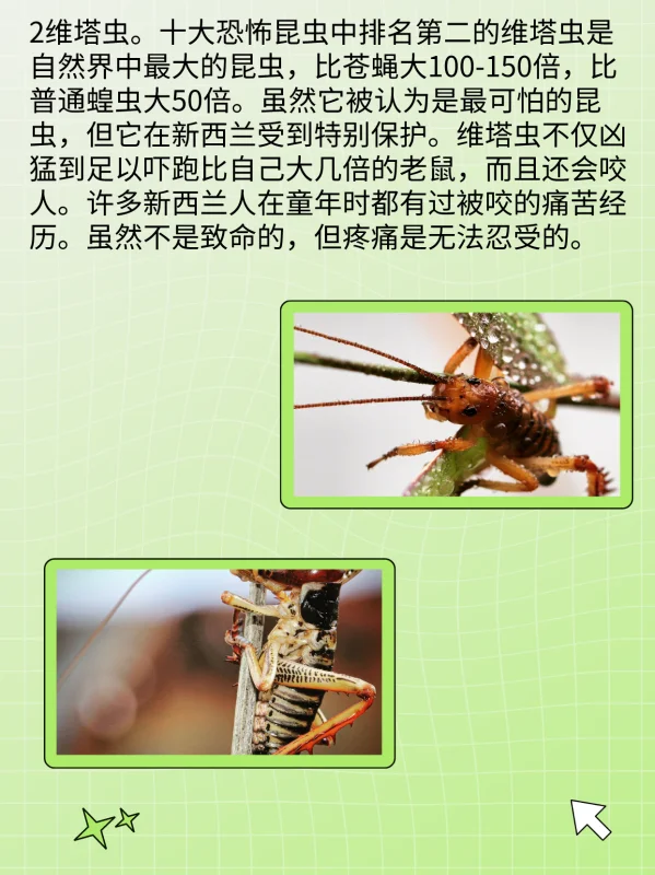 世界禁用的十大子弹(世界十大禁用枪支有什么?)-第4张图片-波音达百科
