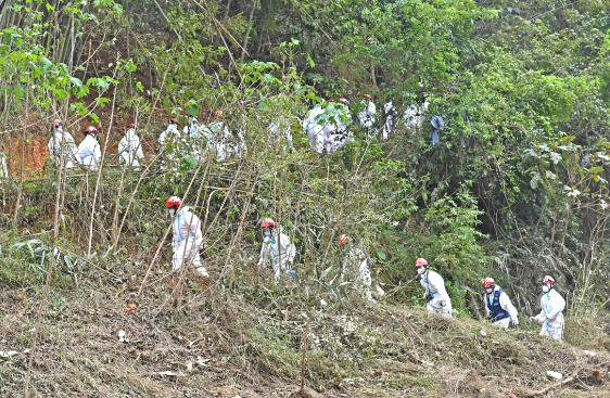 MU5735遇难多少人?东航MU5735坠机,是国内发生最惨烈的空难吗-第7张图片-波音达百科