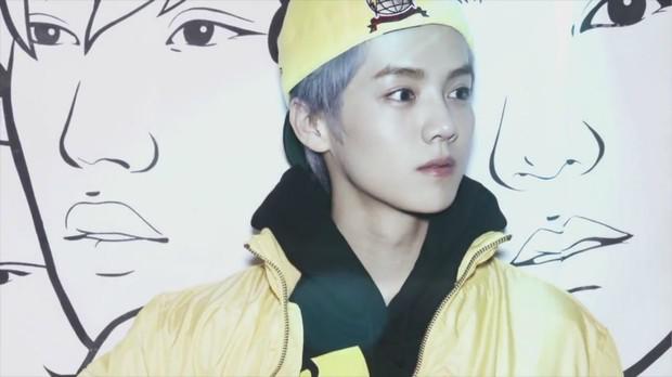 exo 狼与美女专辑的图片 可以给我吗(exo狼与美女 那个女主角是谁呀?)-第6张图片-波音达百科