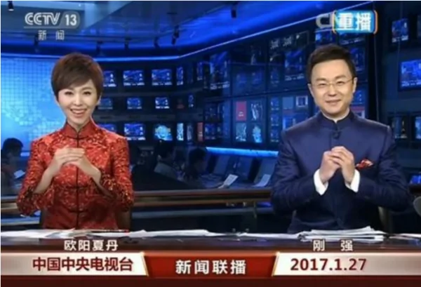 中央电视台台长是什么级别的官?中央电视台副台长是什么级别的干部?-第2张图片-波音达百科