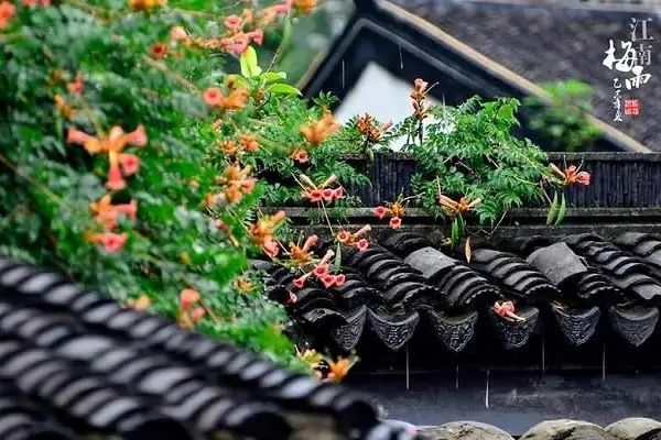 昂首大叫是什么意思 昂首大叫的含义(昂首大叫什么意思解释)-第4张图片-波音达百科