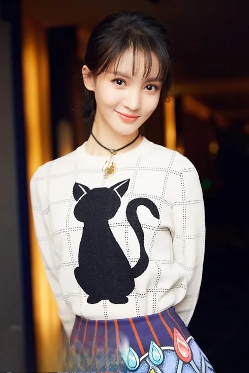 汪东城主演的电视剧有哪些?汪东城主演的电视剧、是主演哦-第3张图片-波音达手游百科