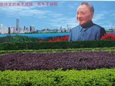 革命到底是为了什么呢?革命到底的剧情介绍-第3张图片-波音达百科
