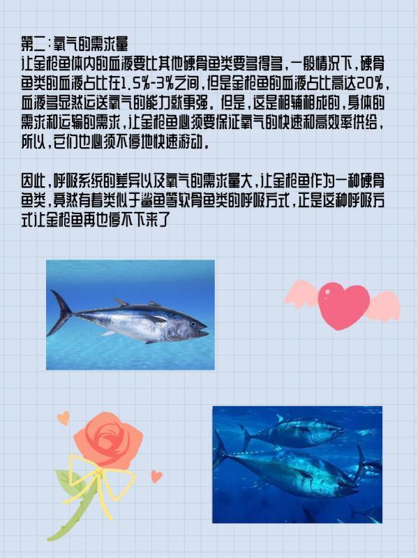 至死方休是什么意思 词语至死方休什么意思(我与人间至死方休什么意思)-第5张图片-波音达百科
