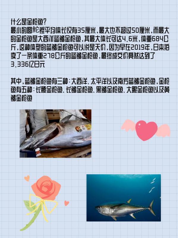 至死方休是什么意思 词语至死方休什么意思(我与人间至死方休什么意思)-第2张图片-波音达百科