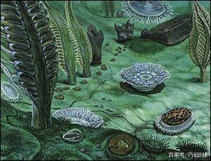 埃迪卡拉生物群出现于()。(为什么说埃迪卡拉生物群奇妙无比)-第11张图片-波音达百科