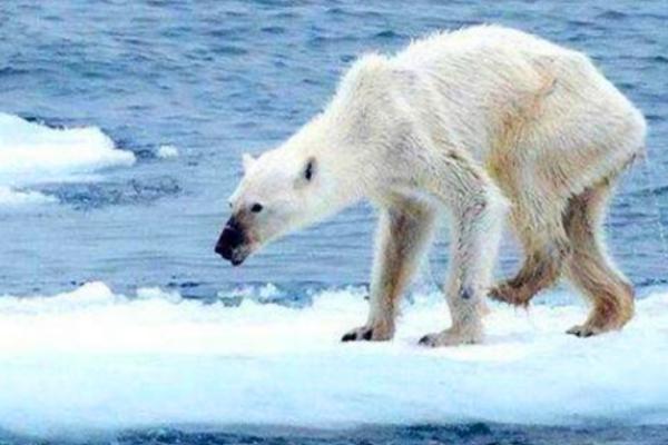 bring的过去式和所有特殊的过去式(bring的过去式怎么读)-第2张图片-波音达百科