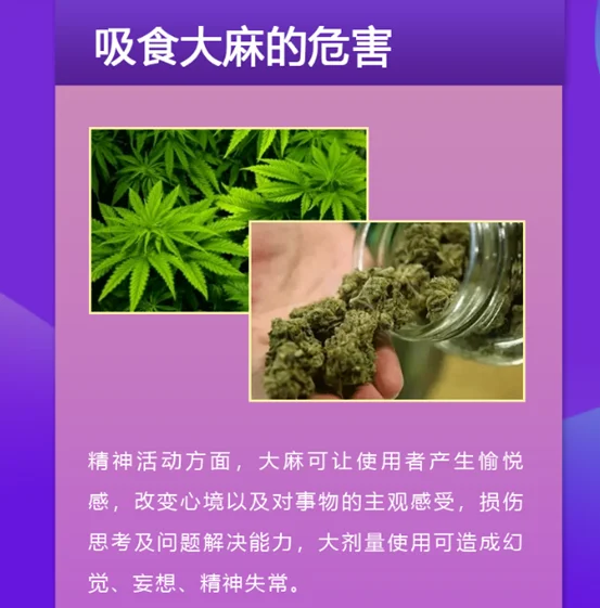 世界上最安全的国家在哪里?世界上哪个国家的食品最安全?-第5张图片-波音达百科