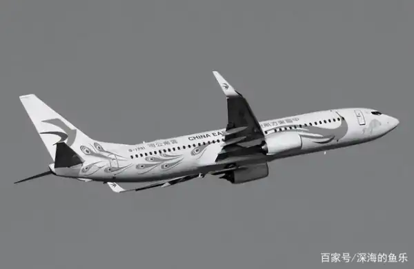 mu5735航班号还在吗?东航mu5735航班满员多少人?-第20张图片-波音达百科