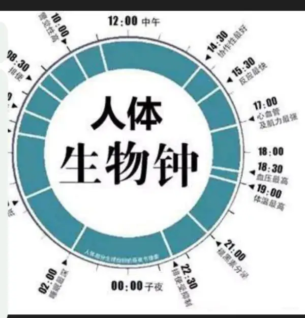 开学前的大学生状态是怎样的?大学生开学前后有何变化?-第5张图片-波音达手游百科