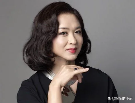 潘石屹在中国排名(潘石屹目前在美国还是中国)-第5张图片-波音达百科