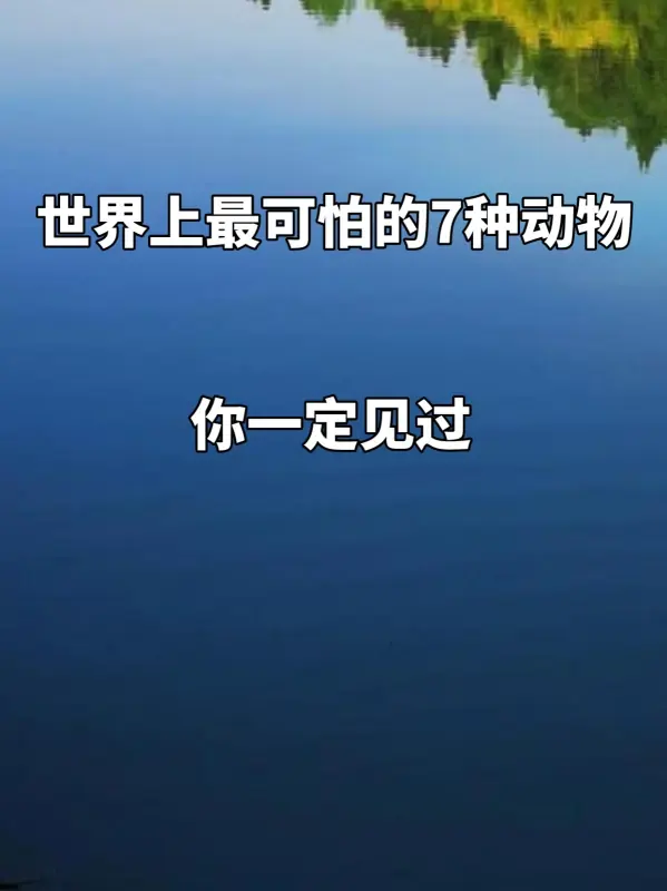 世界上鸟之最都有哪些(世界上最吓人的鸟是什么鸟呢?)-第3张图片-波音达百科