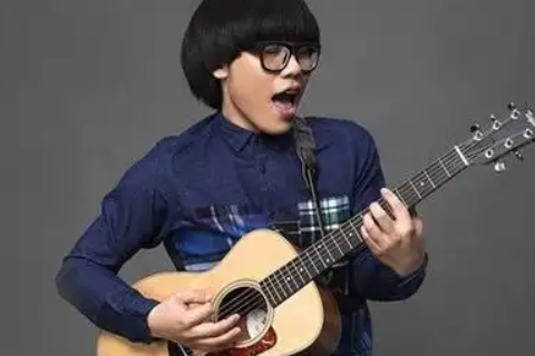 中国好声音李琦个人资料(音乐才子的成长之路)(好声音李琦选了谁?)-第1张图片-波音达手游百科