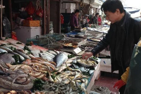 现在北京海鲜上市了吗?北京海鲜市场怎么样?北京海鲜市场发生了什么-第7张图片-波音达百科