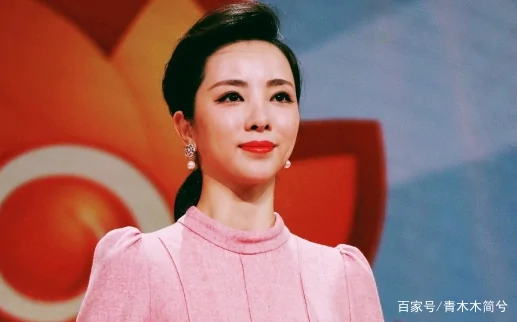 如何评价央视主持人李思思?央视主持人李思思的胸多大-第21张图片-波音达百科