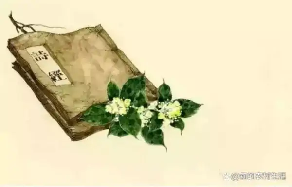 之子于归,宜其室家的上一句(之子于归宜其室家的对偶句)-第5张图片-波音达百科