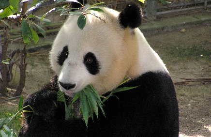 中东地区是哪啊?为什么这么叫啊?中东地区已什么命名的,为什么叫中东地区-第3张图片-波音达百科