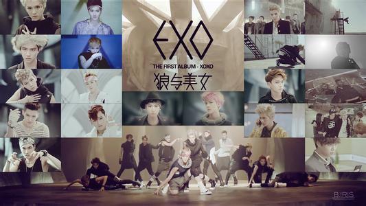 exo 狼与美女专辑的图片 可以给我吗(exo狼与美女 那个女主角是谁呀?)-第27张图片-波音达百科