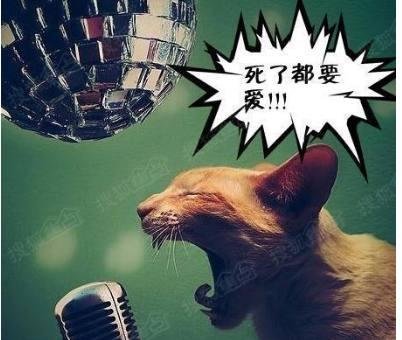 前奏好听适合做 *** 的歌曲_适合做手机 *** 的歌曲(适合做闹钟 *** 的歌曲)-第6张图片-波音达百科