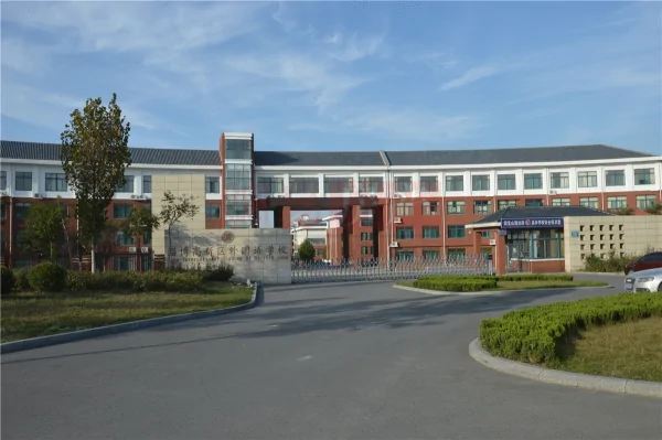 怎么报考江宁东山外国语学校(东山外国语学校的介绍)-第1张图片-波音达百科