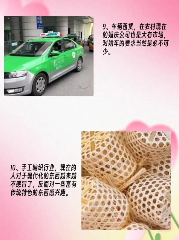 未来农村10个大暴利行业(未来10大暴利行业可能有哪些?)-第6张图片-波音达手游百科