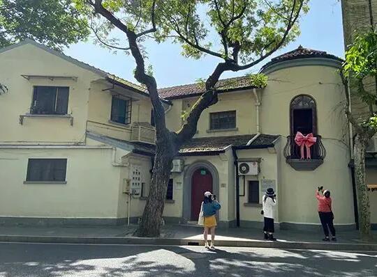 狗的蝴蝶结有多大?狗的蝴蝶结到底是什么-第1张图片-波音达百科 狗的蝴蝶结有多大?狗的蝴蝶结到底是什么-第1张图片-波音达百科