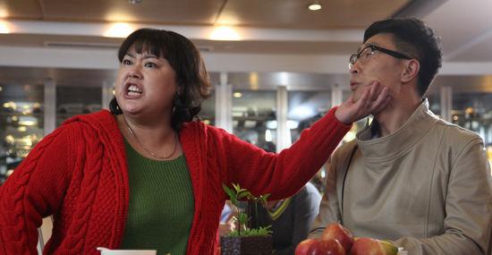 与《甜蜜蜜》《幸福像花一样》一类的电视剧还有哪些-第2张图片-波音达百科