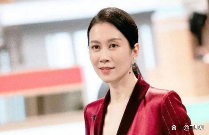 俞飞鸿都演过什么电视剧(俞飞鸿演的电视剧 俞飞鸿演过什么电视剧)-第3张图片-波音达百科