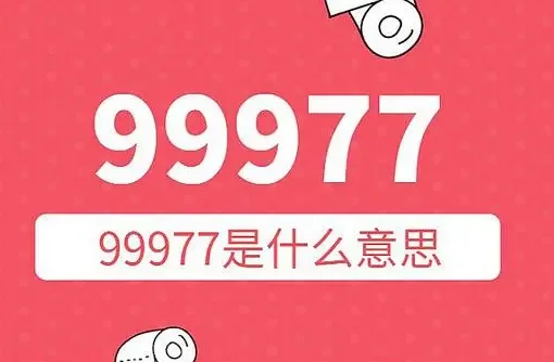 99977的含义是什么 99977的含义和意思是什么-第2张图片-波音达百科
