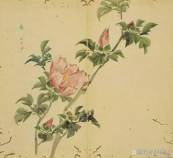 之子于归,宜其室家的上一句(之子于归宜其室家的对偶句)-第6张图片-波音达百科