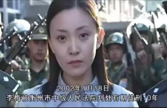 征服李梅的最后结局(征服最后李梅怀上孩子了吗小说?)-第3张图片-波音达百科