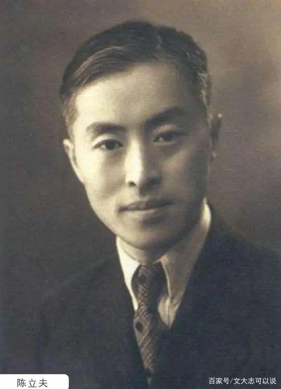 中国最帅的男人哪里多(谁是古今中国最帅的男人?)-第9张图片-波音达百科