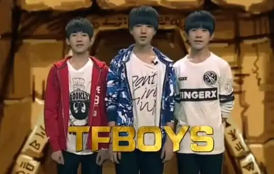 疯狂麦咭tfboys在哪一季(疯狂的麦咭哪一集有tfboys?)-第1张图片-波音达百科