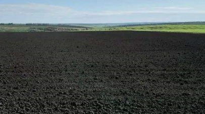 qq农场黑土地全开种什么更赚钱?qq农场黑土地,红土地都种什么更赚钱-第1张图片-波音达手游百科