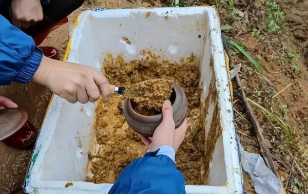 关于东航MU5735坠机事故,目前有哪些确切的消息?-第19张图片-波音达百科