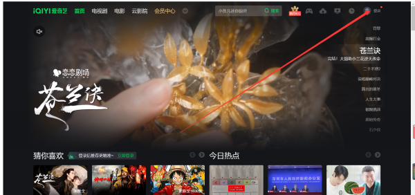 爱奇艺的账号如何共享?爱奇艺会员账号能共享给别人吗?-第4张图片-波音达百科